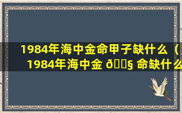 1984年海中金命甲子缺什么（1984年海中金 🐧 命缺什么需要补什么）